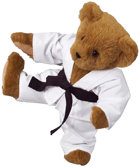 Karate teddy store bear